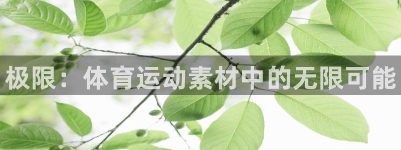 米兰体育官方正版app新能源：极限：体育运动素材中的