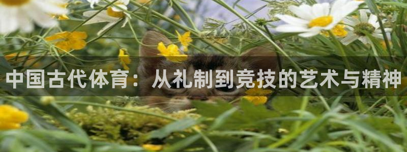 海南米兰体育官网下载：中国古代体育：从礼制到竞技的艺