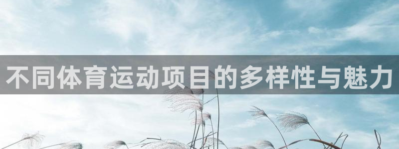 米兰体育官方正版app娱乐代理怎么样：不同体育运动项