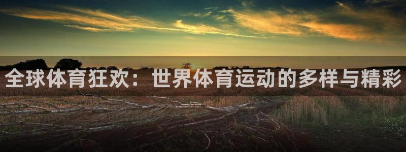 米兰体育官方正版app娱乐网站：全球体育狂欢：世界体