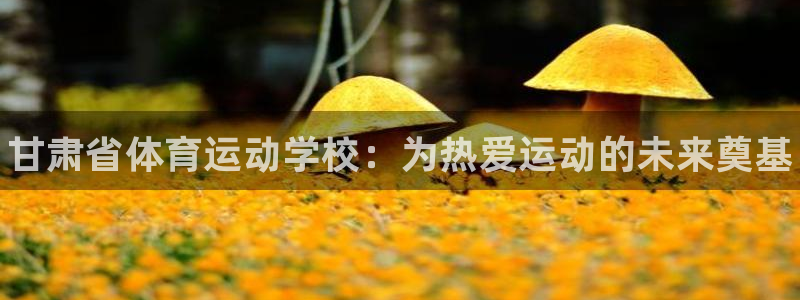 米兰体育官网下载联系电话：甘肃省体育运动学校：为热爱