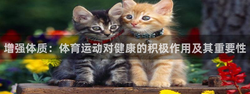 米兰体育官网下载招商电话地址是多少：增强体质：体育运
