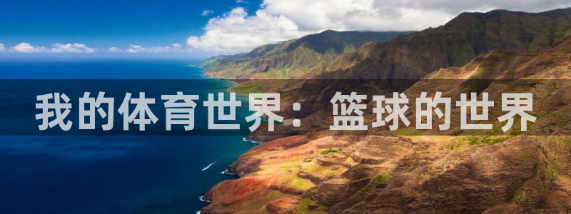 米兰体育官方正版app娱乐网站：我的体育世界：篮球的