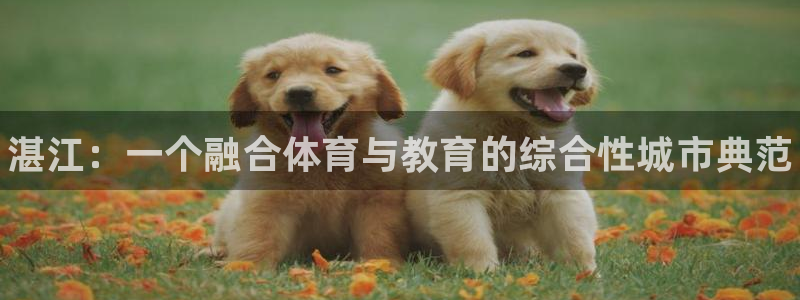 米兰体育官网下载招商电话号码是多少号：湛江：一个融合