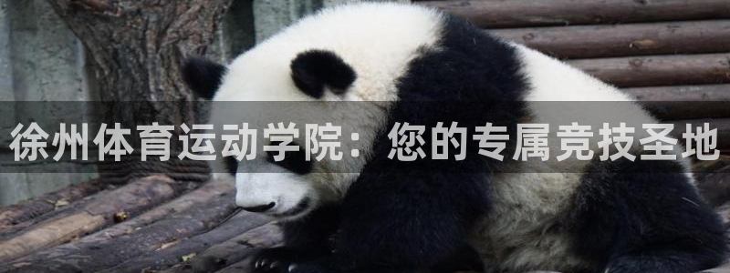 米兰体育官方正版app集团logo：徐州体育运动学院