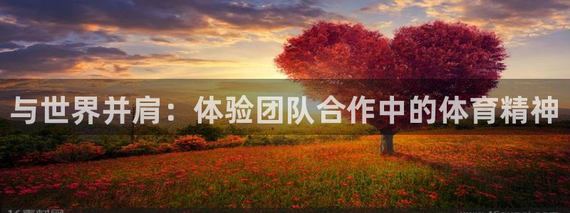 米兰体育官方正版app集团官网首页网址：与世界并肩：