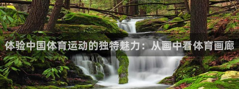 米兰体育官网下载招商：体验中国体育运动的独特魅力：从