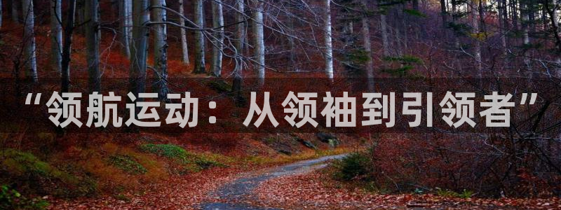 米兰体育官方正版app娱乐首页网站大全：“领航运动：从领袖到