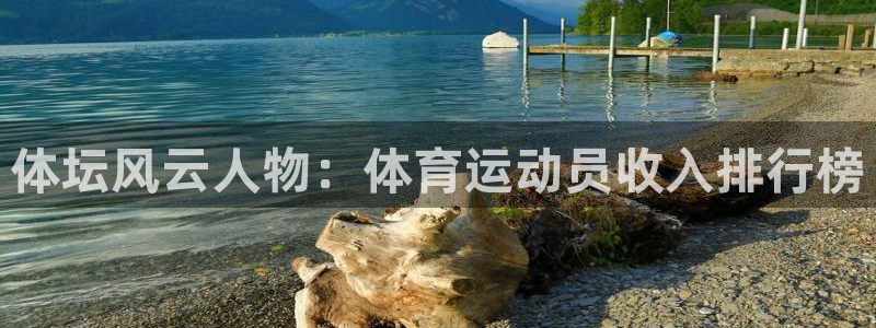 米兰体育官方正版app新能源：体坛风云人物：体育运动