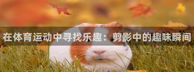 米兰体育官方正版app集团官网首页：在体育运动中寻找乐趣：剪