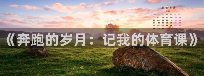 米兰体育官方平台体育