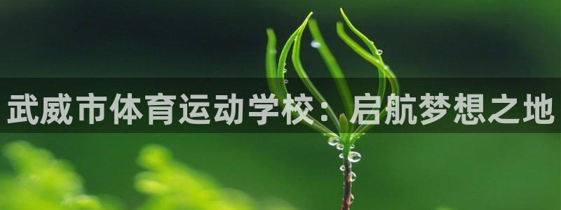 米兰体育与阿拉维斯达成合作的原因：武