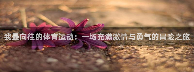 中国米兰体育