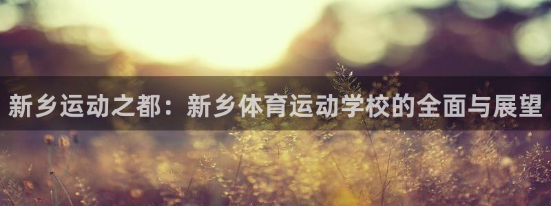  米兰体育发布网址是什么：新乡运动之都：新乡体育运动学校的全面