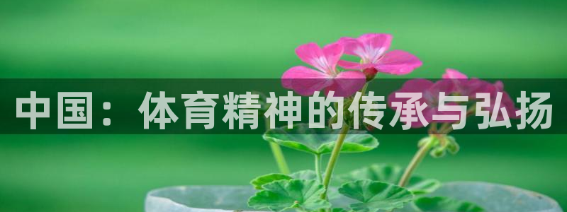  米兰体育入口：中国：体育精神的传承与弘扬