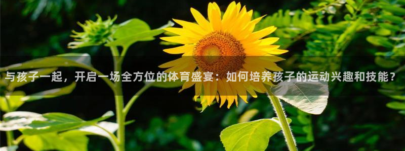 米兰体育网站斯特拉斯堡战略伙伴Q