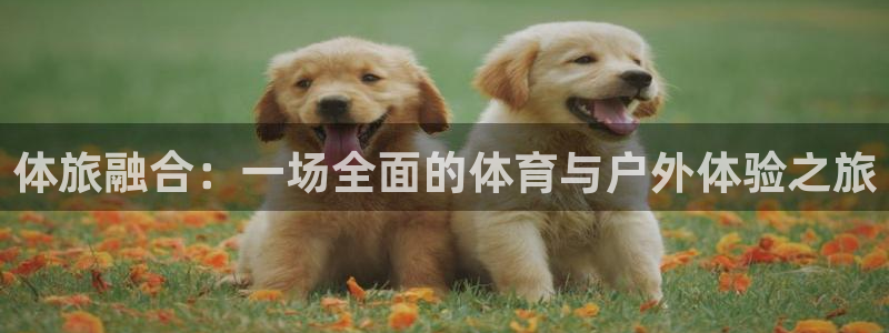  米兰体育直播：体旅融合：一场全面的体育与户外体验之旅