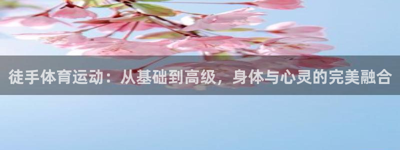  米兰体育入口官网下载：徒手体育运动：从基础到高级，身体与心灵
